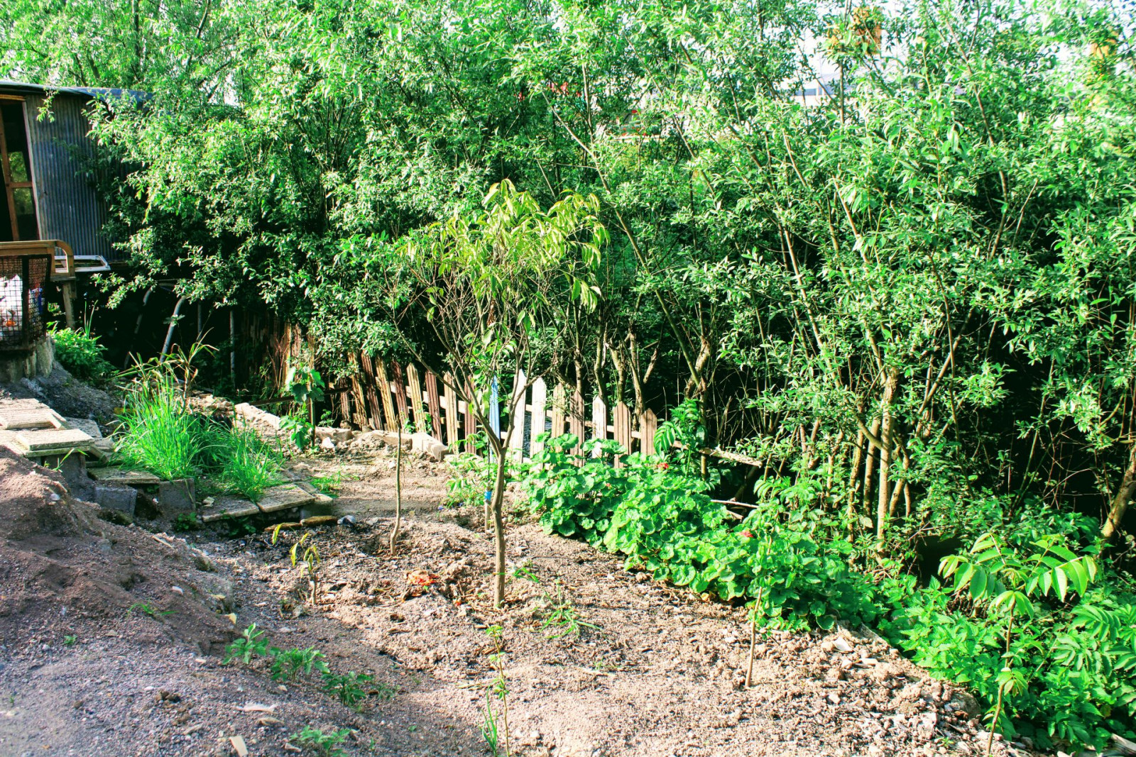 باغچه روبروی ویلا