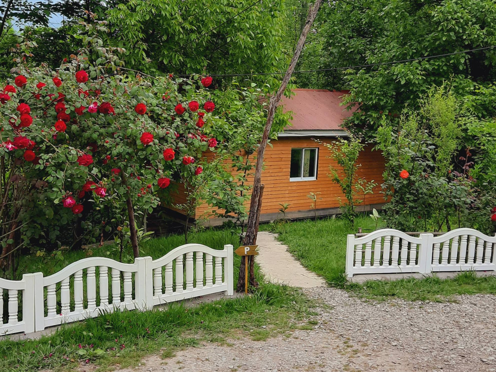نمای بیرونی ساختمان