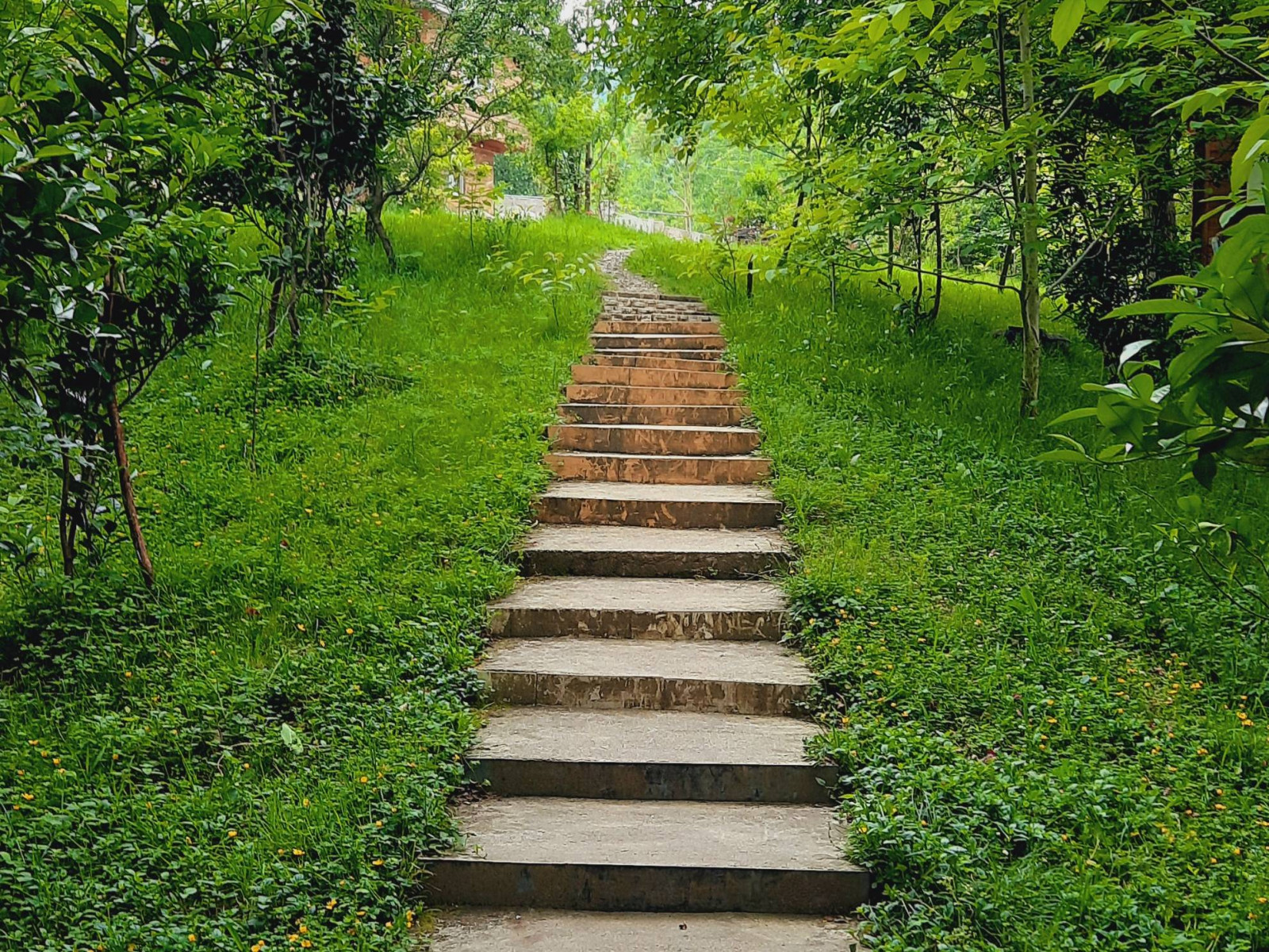 نمای بیرونی ساختمان