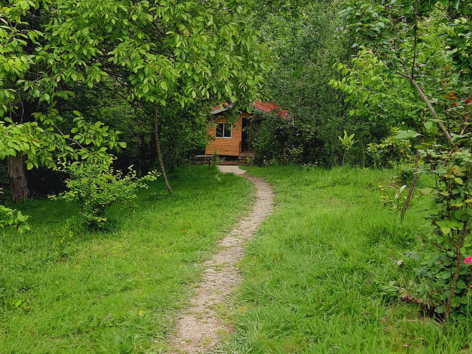 نمای بیرونی ساختمان