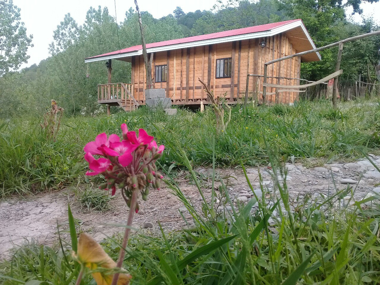 محوطه بیرونی