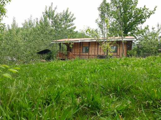 نمای ساختمان