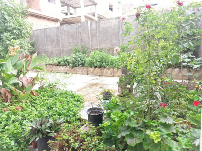 سوئیت نقلی مینودشت