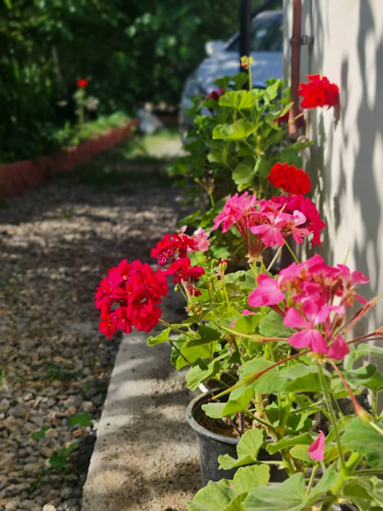 عکس ارسالی میهمانان عکس ارسالی میهمانان