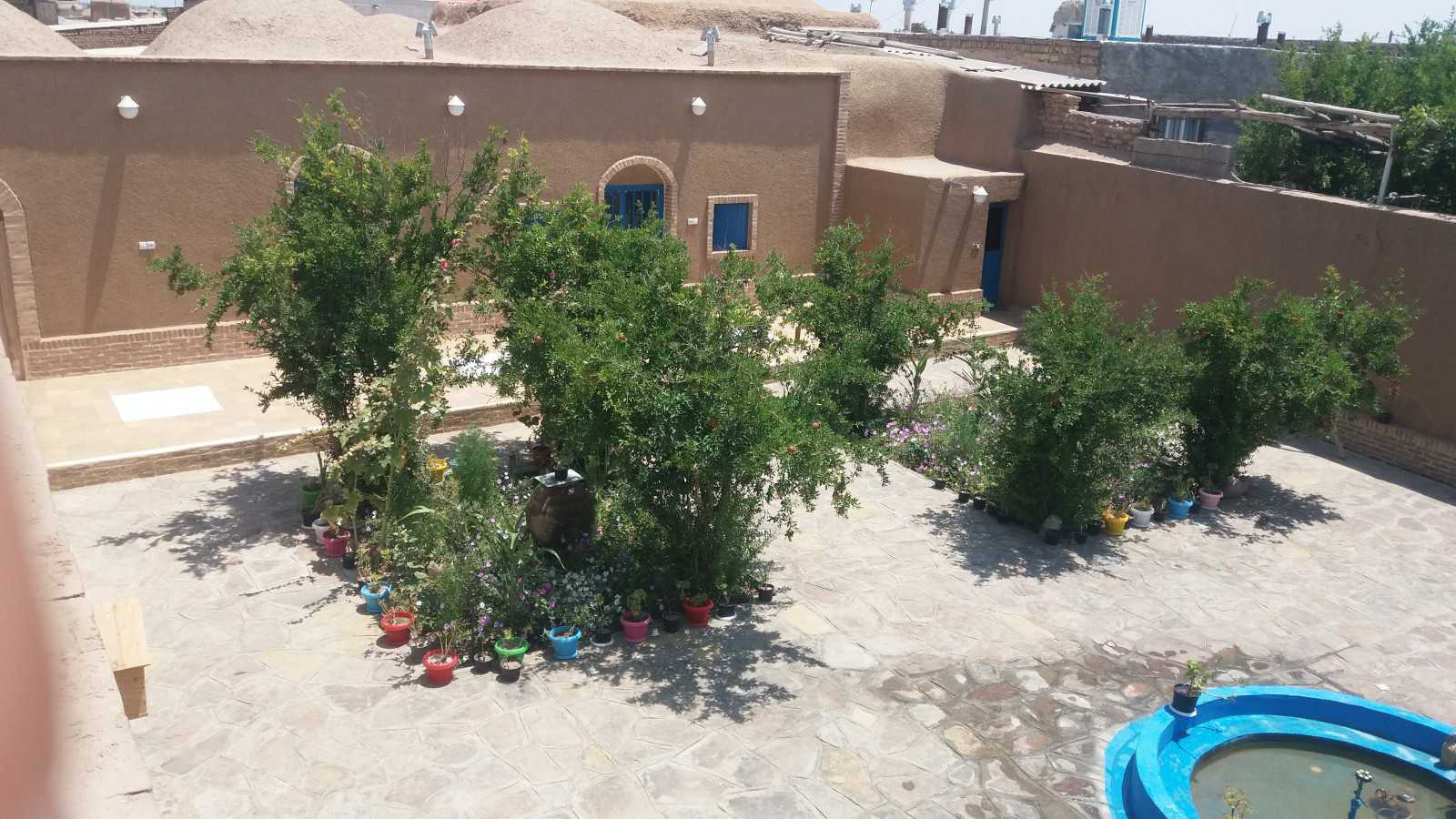حیاط