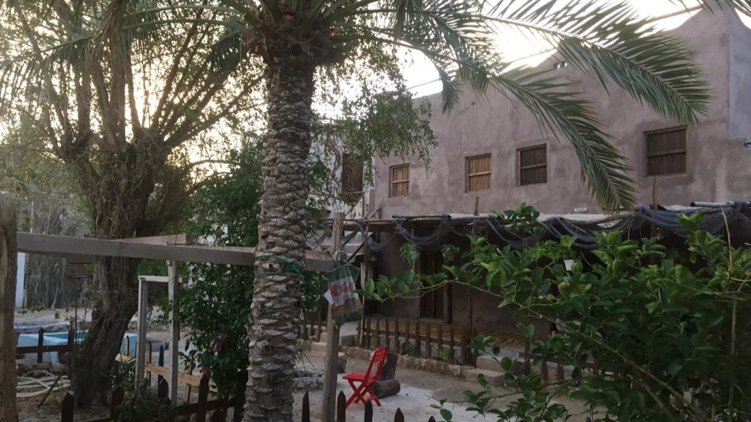 نما