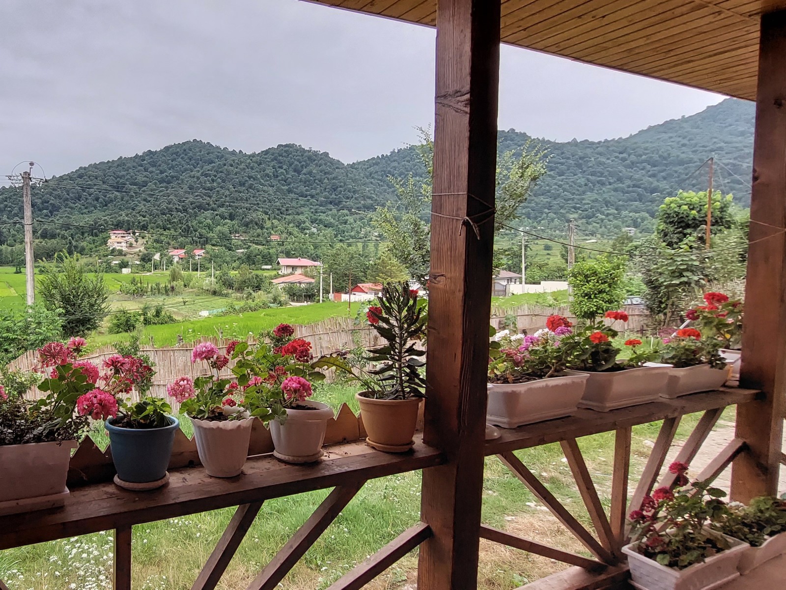 تراست تراست