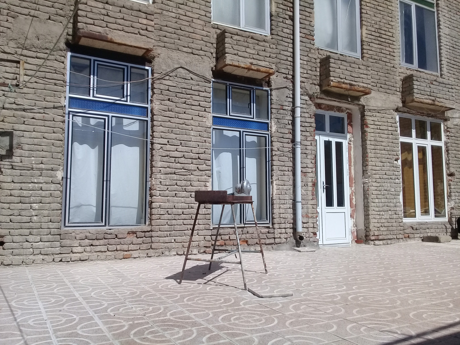 وودی