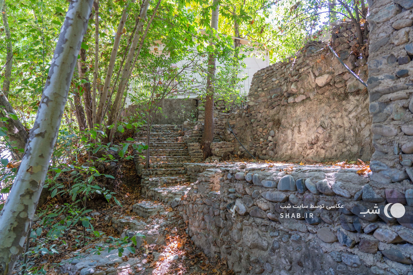 طبیعت اطراف اقامتگاه