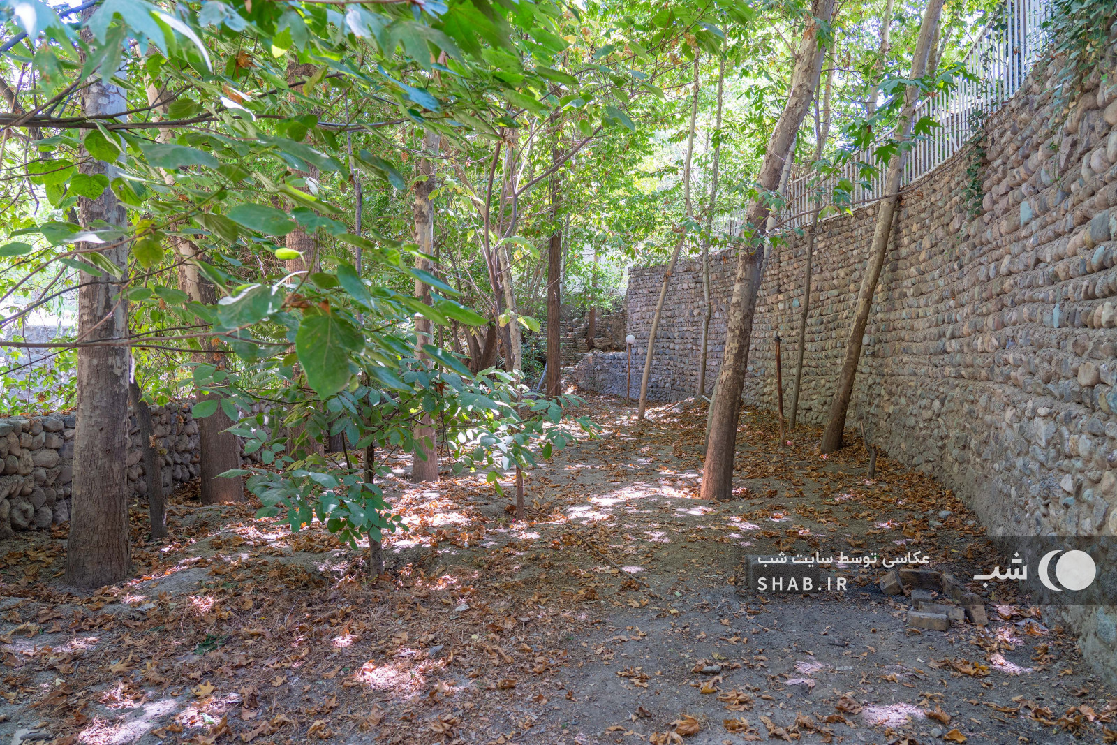 طبیعت اطراف اقامتگاه