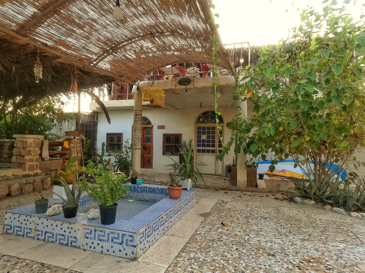 محوطه محوطه