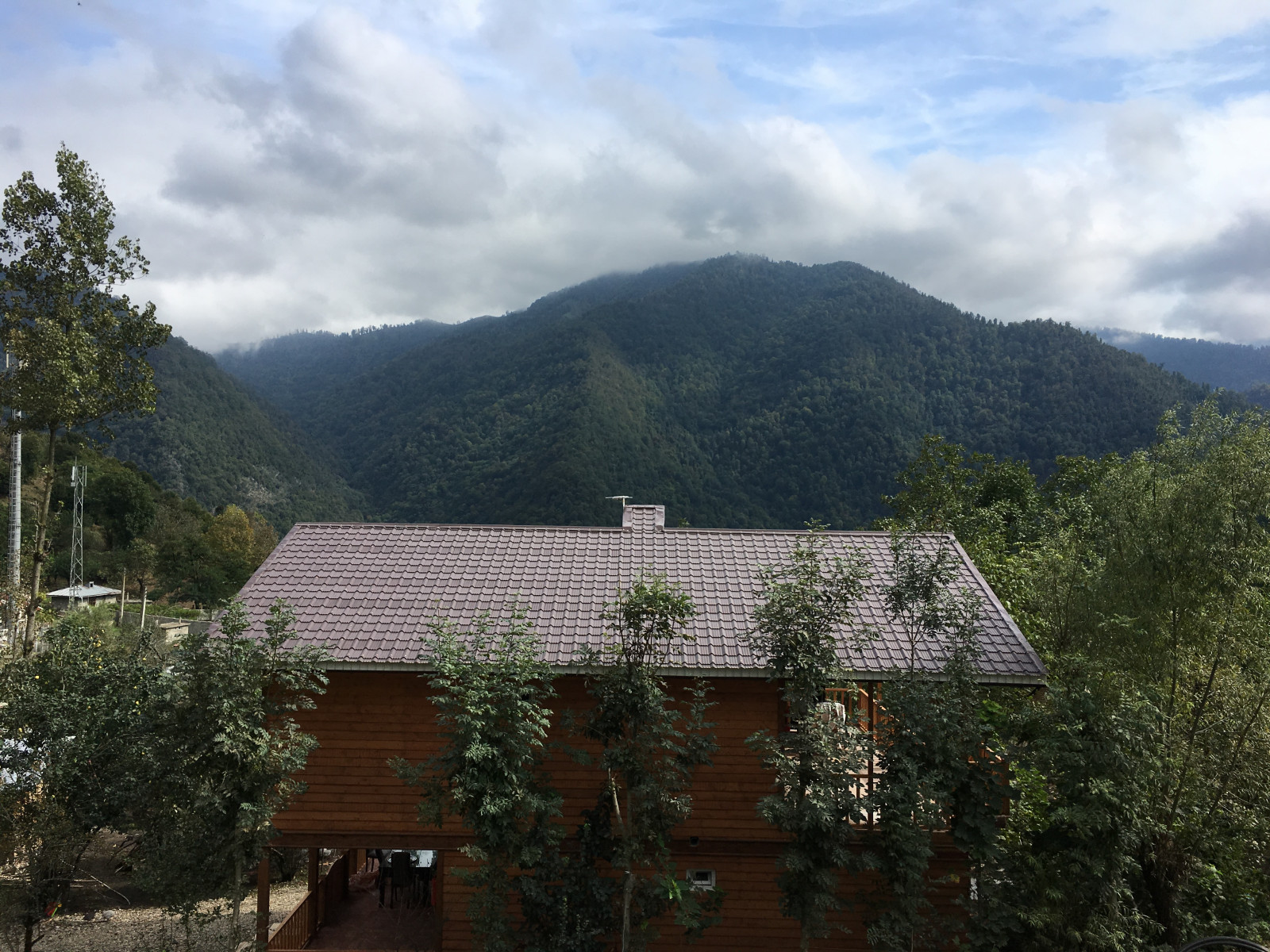 ویوی تابستان