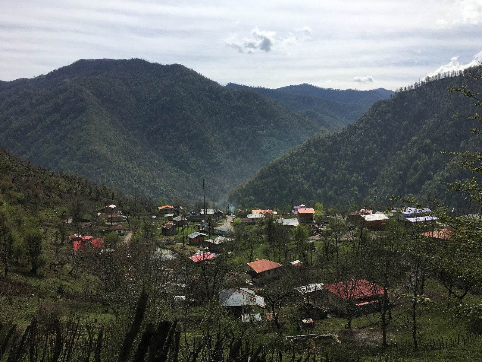 ویوی تابستان