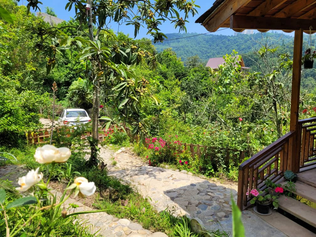 حیاط و ورودی