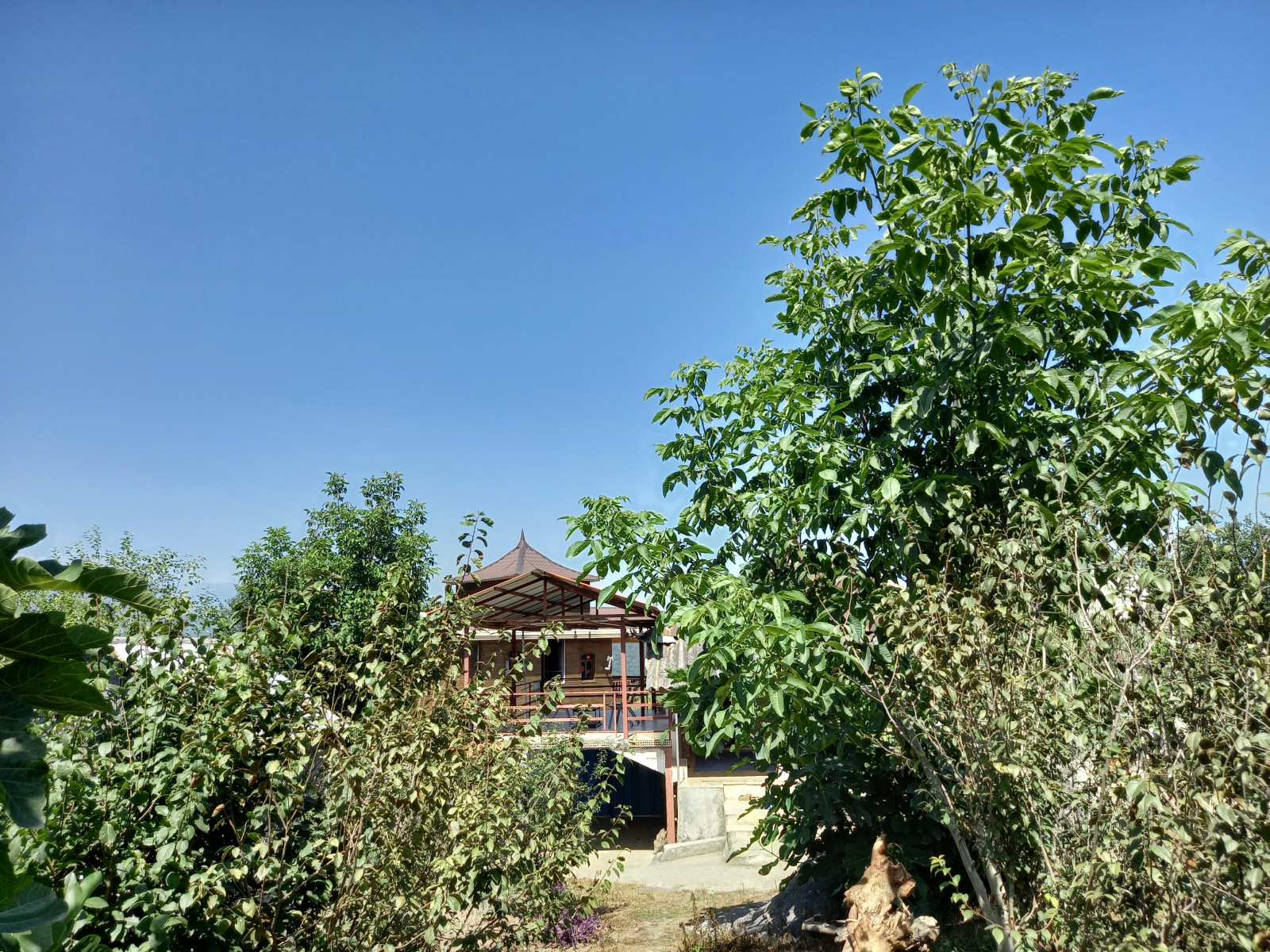 نمای حیاط