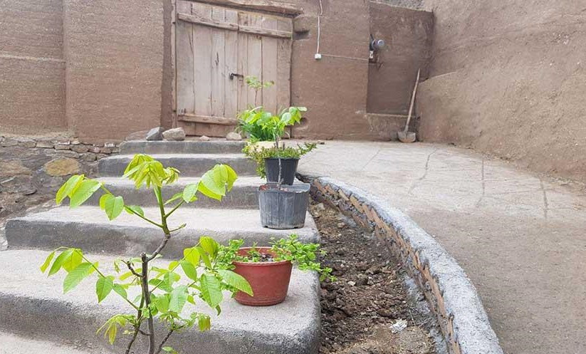 حیاط