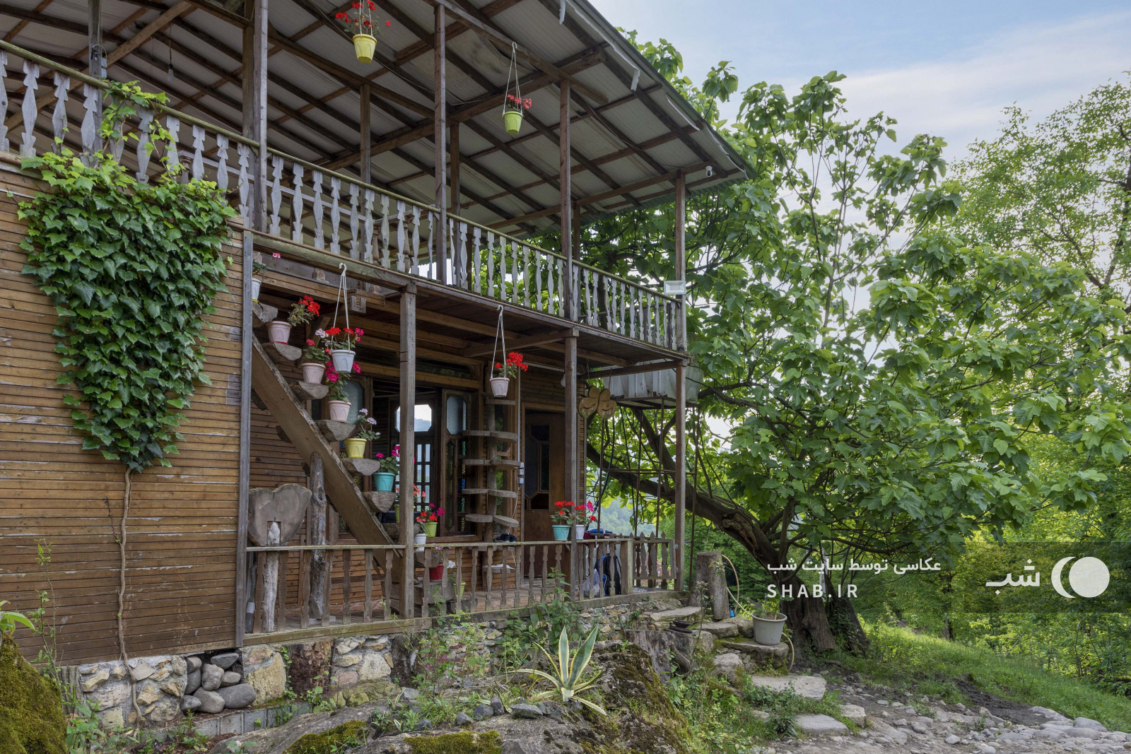 تراس طبقه پایین