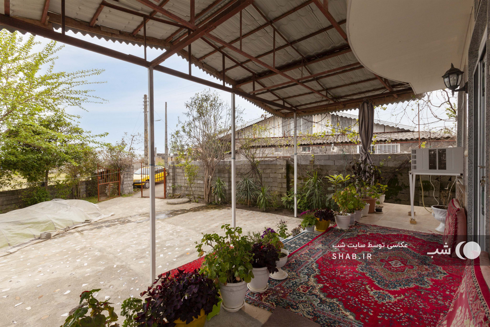 حیاط و تراس