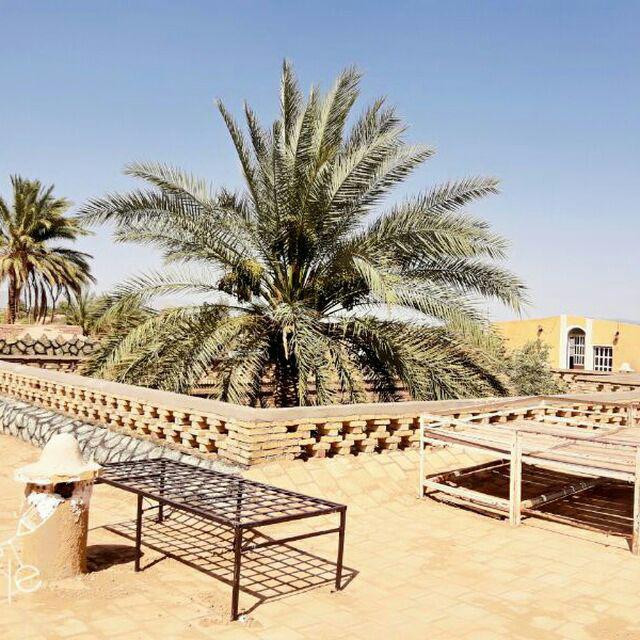 نما