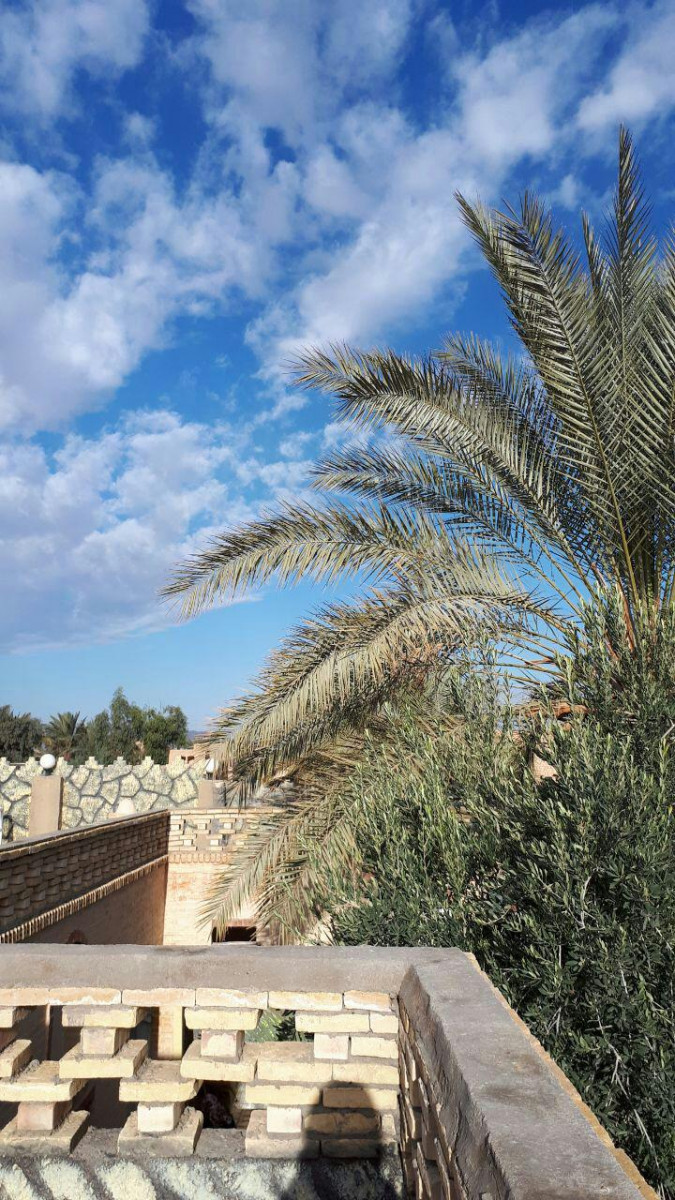 ویو
