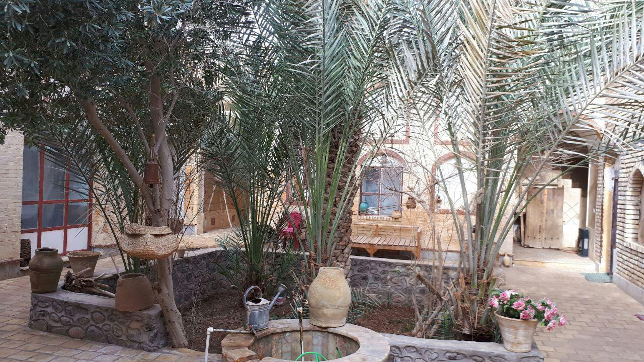 حیاط