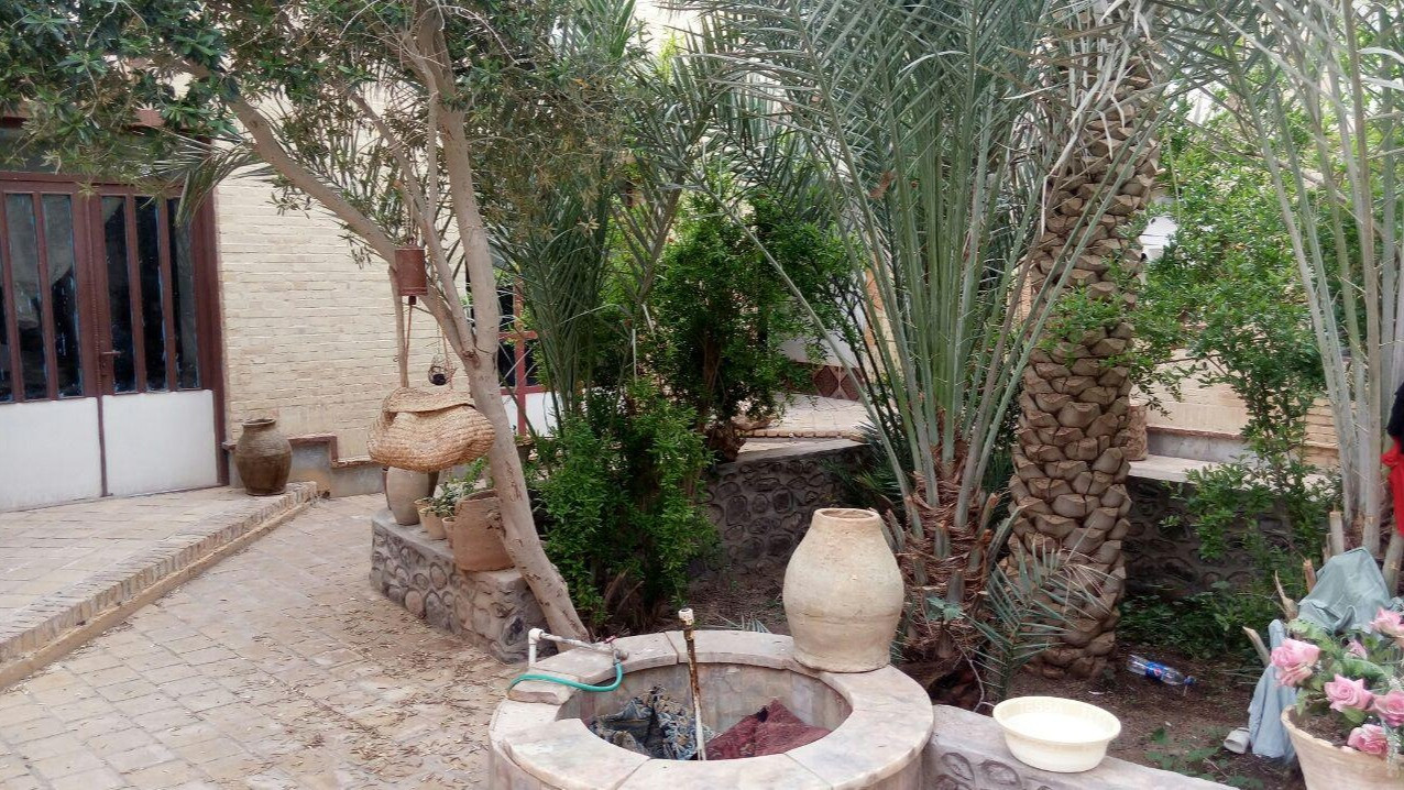 حیاط