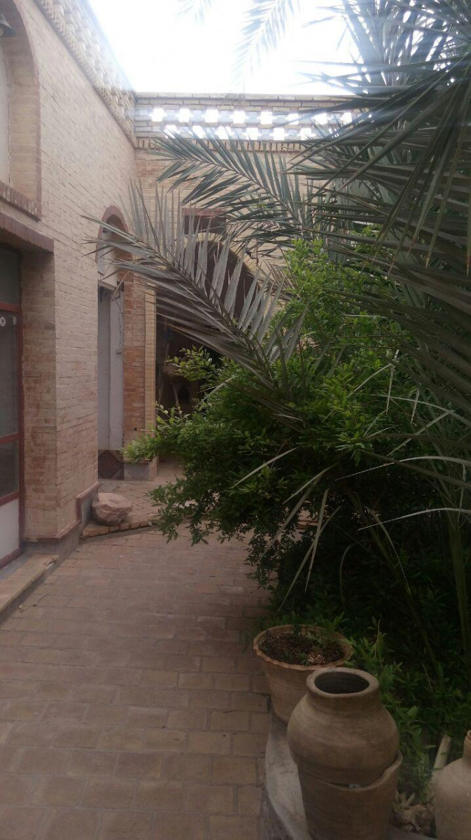 حیاط