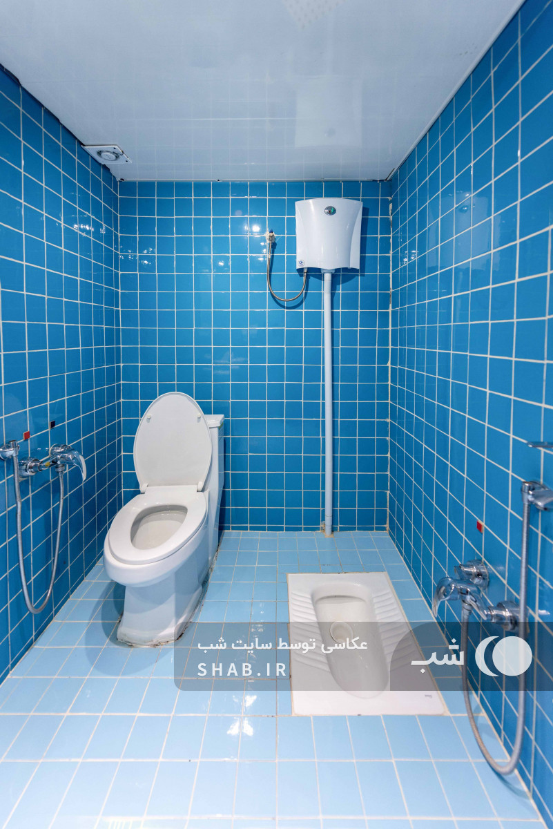 سرویس بهداشتی