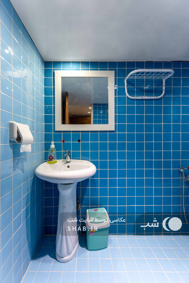 سرویس بهداشتی