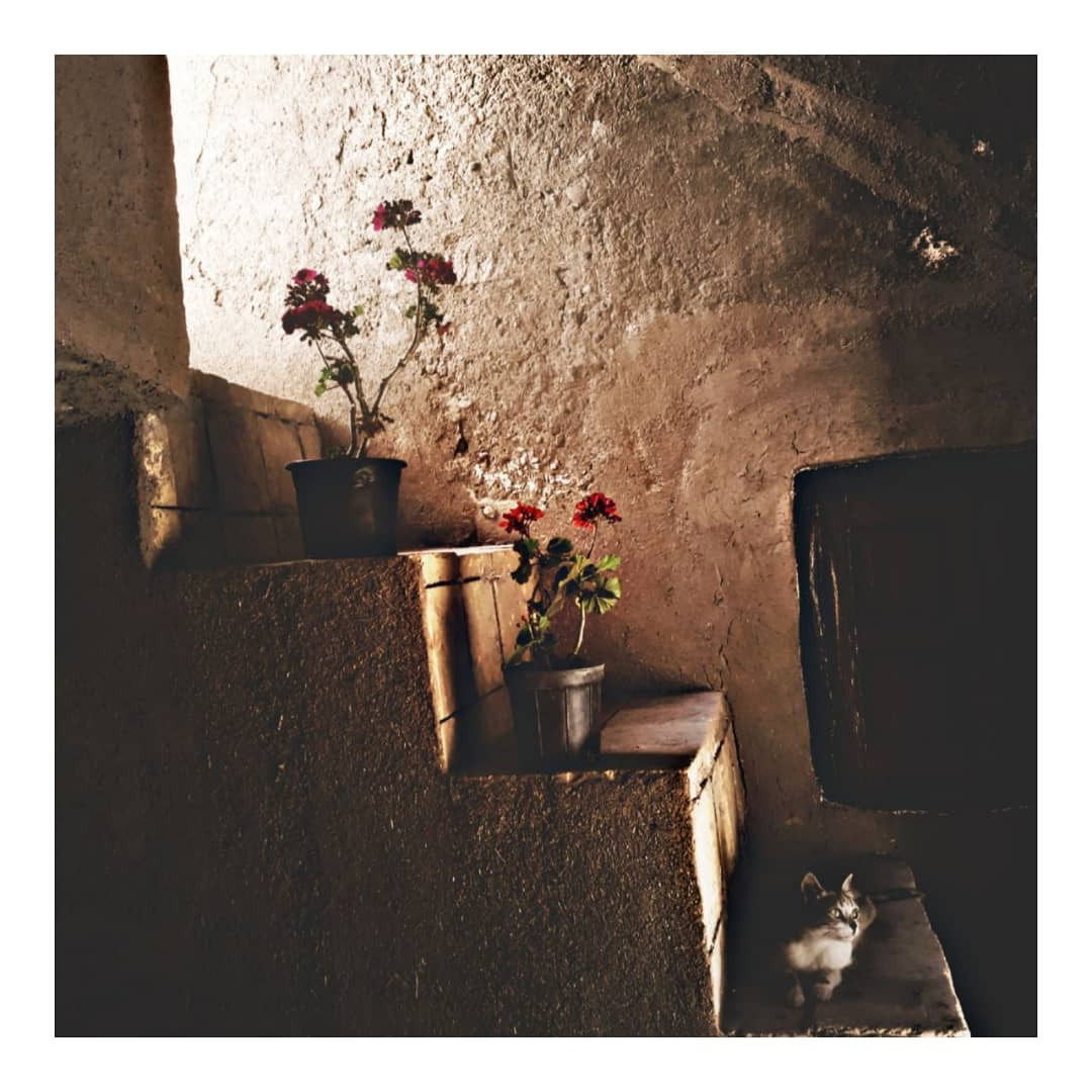 راه پله راه پله