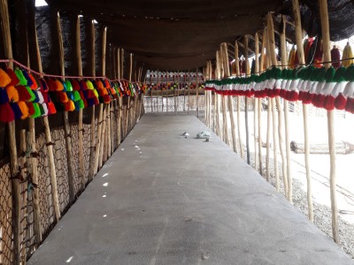 اقامتگاه بومگردی "بوشکان" چادر عشایری 2 اقامتگاه بومگردی "بوشکان" چادر عشایری 2