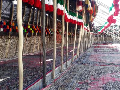 اقامتگاه بومگردی "بوشکان" چادر عشایری 3 اقامتگاه بومگردی "بوشکان" چادر عشایری 3