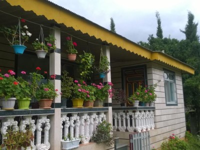 ویلا باغ جنگلی ماسال تاسکوه