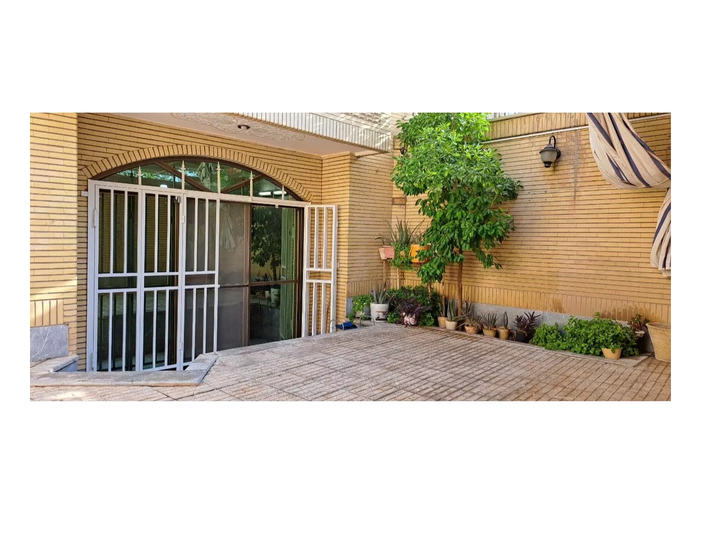 داخل حیاط
