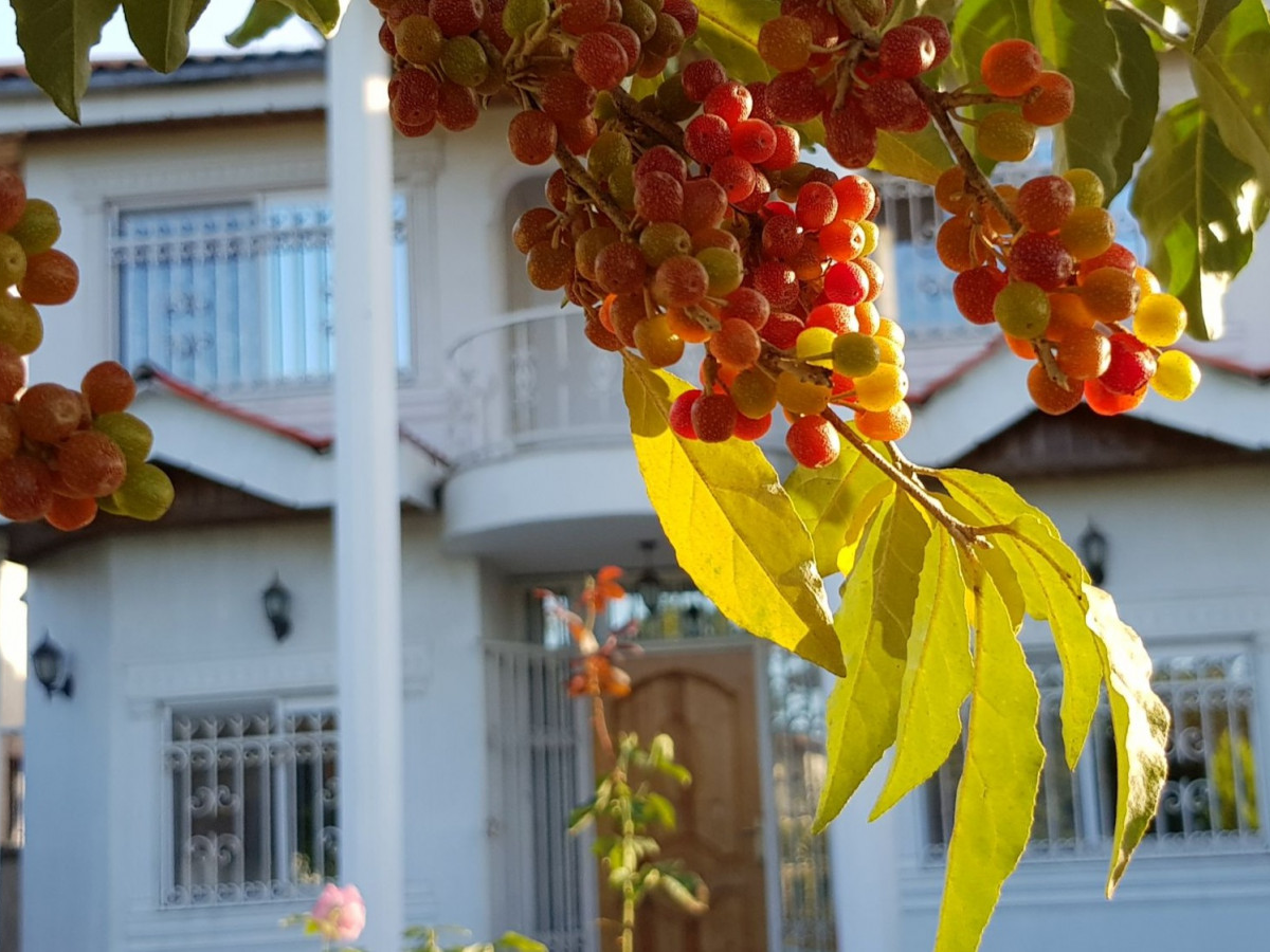 نمای بیرونی ساختمان