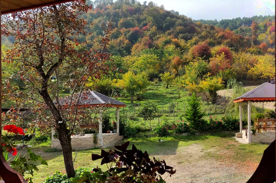 آلاچیق
