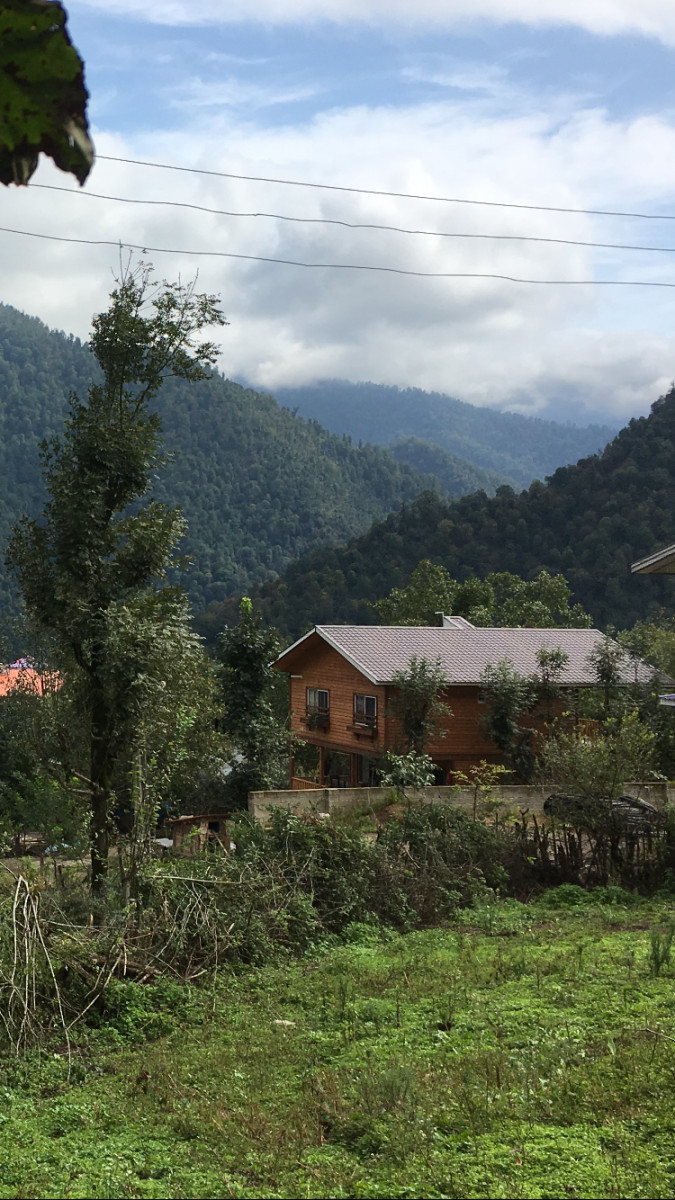 ویوی تابستانی