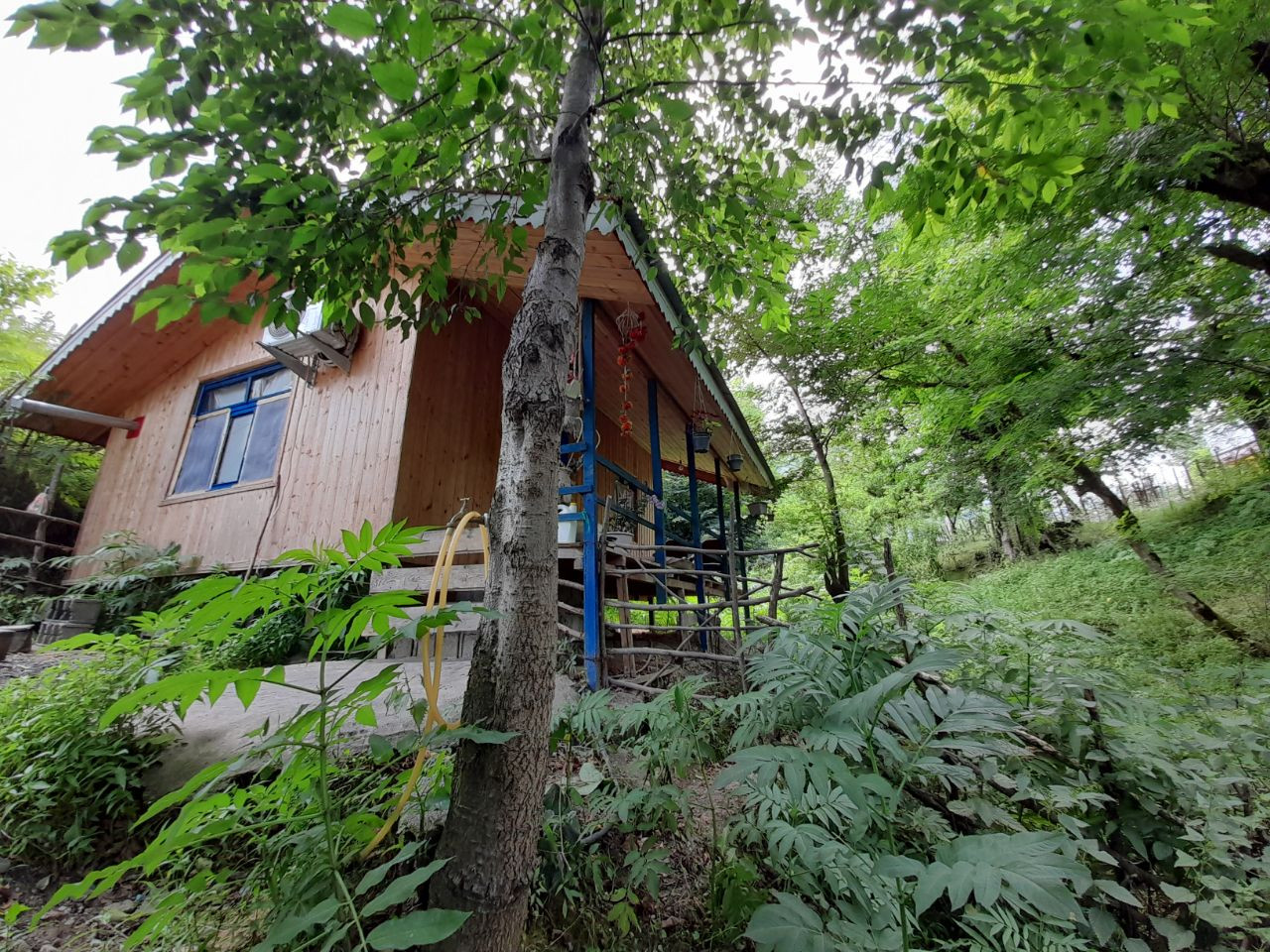 نمای کلی
