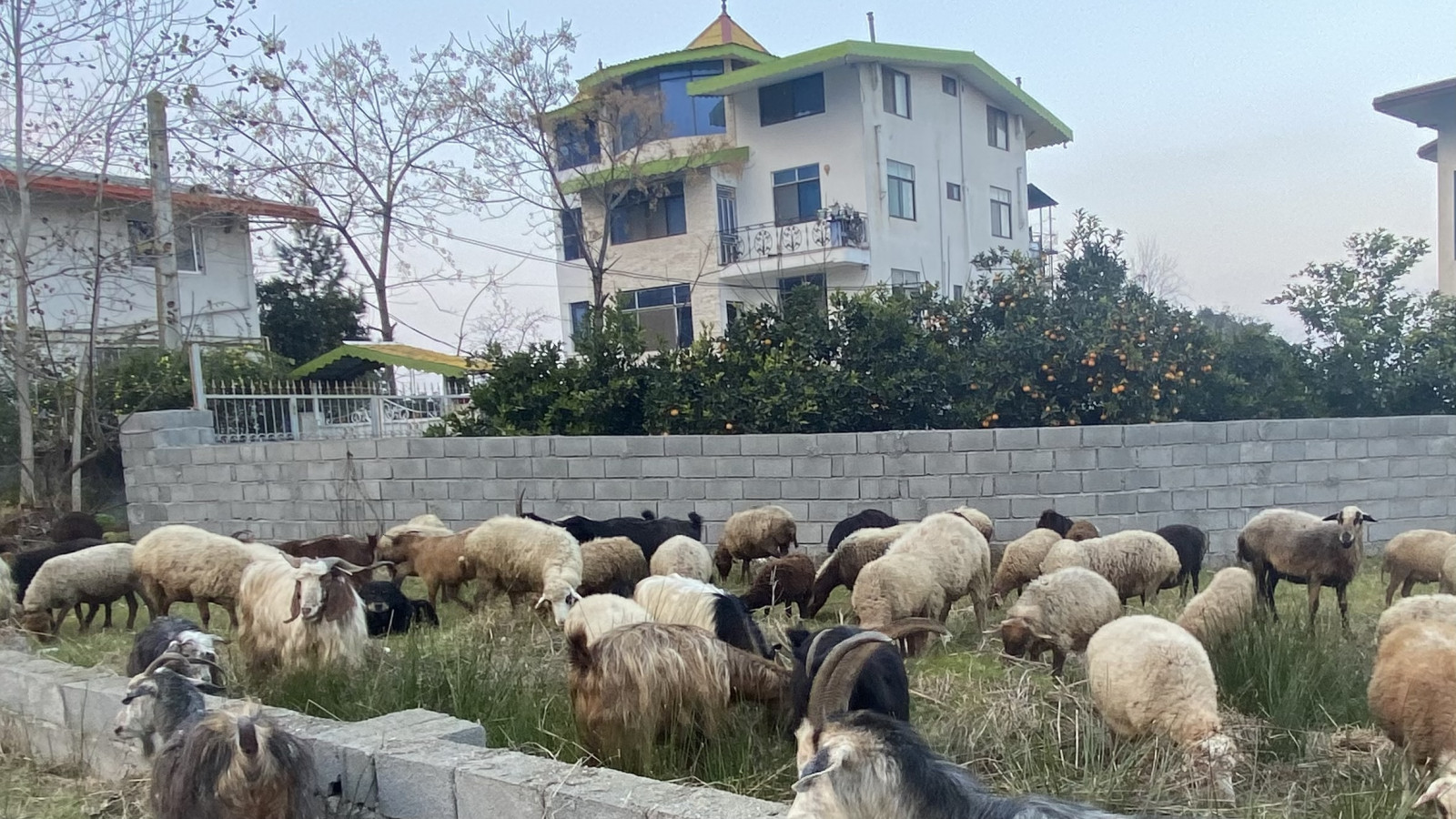 نمای جنوبی