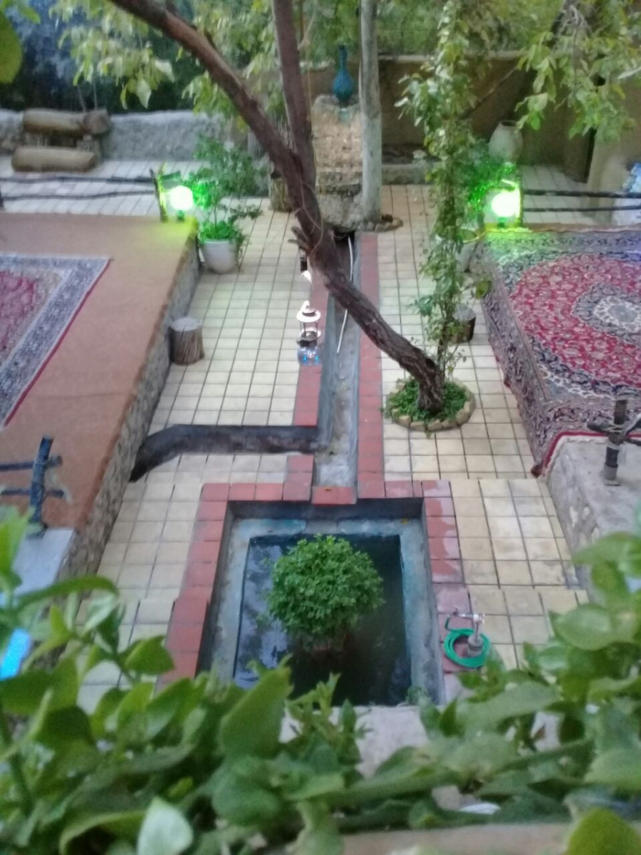 حیاط
