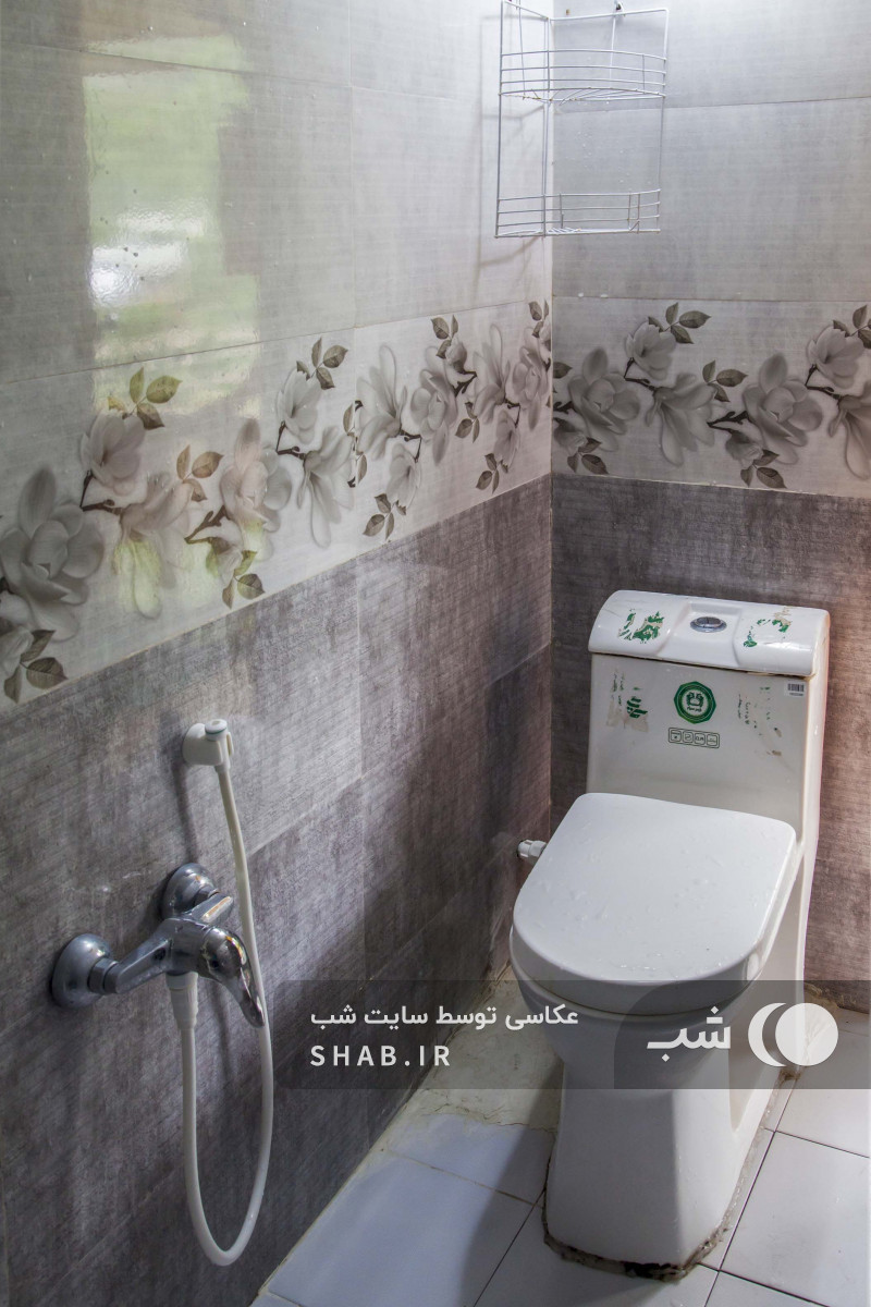 سرویس بهداشتی