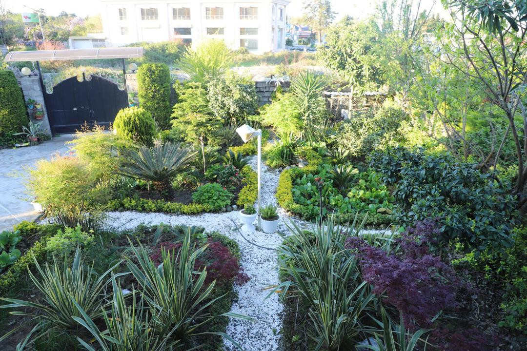 محوطه حیاط