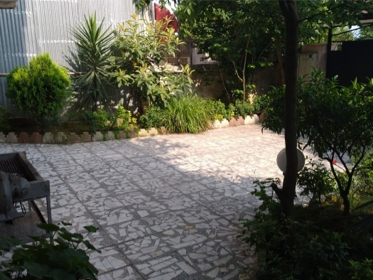 حیاط