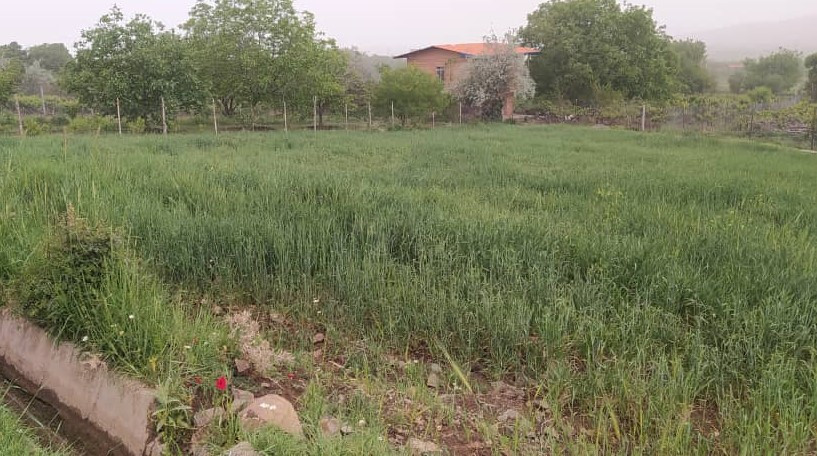محوطه اطراف