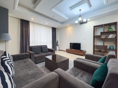 ولیعصر ۱۰۰ متر ۲ خواب ولیعصر ۱۰۰ متر ۲ خواب