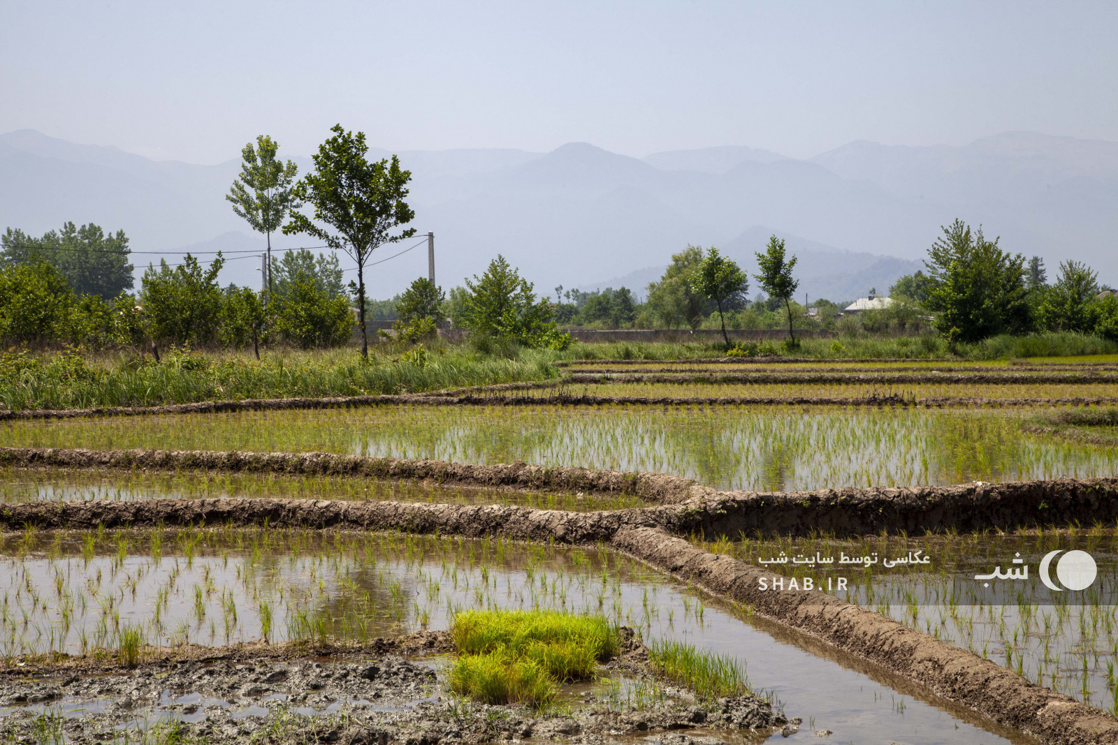 طبیعت اطراف ویلا