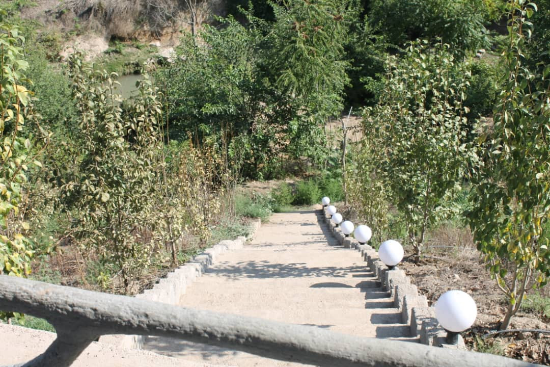 حیاط