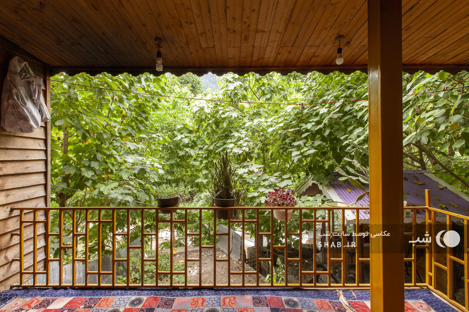 ویوی بالکن ویوی بالکن