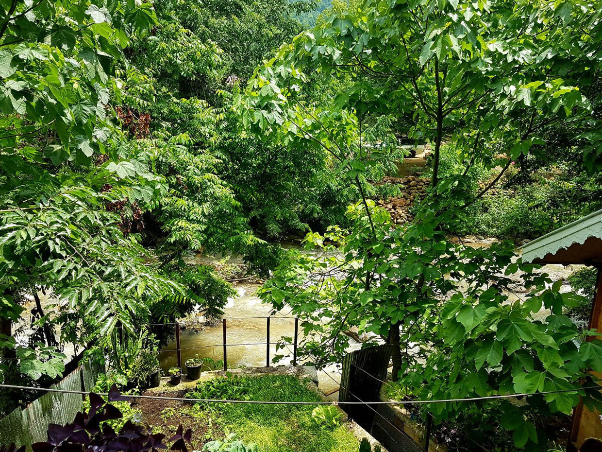 رودخانه مقابل اقامتگاه رودخانه مقابل اقامتگاه