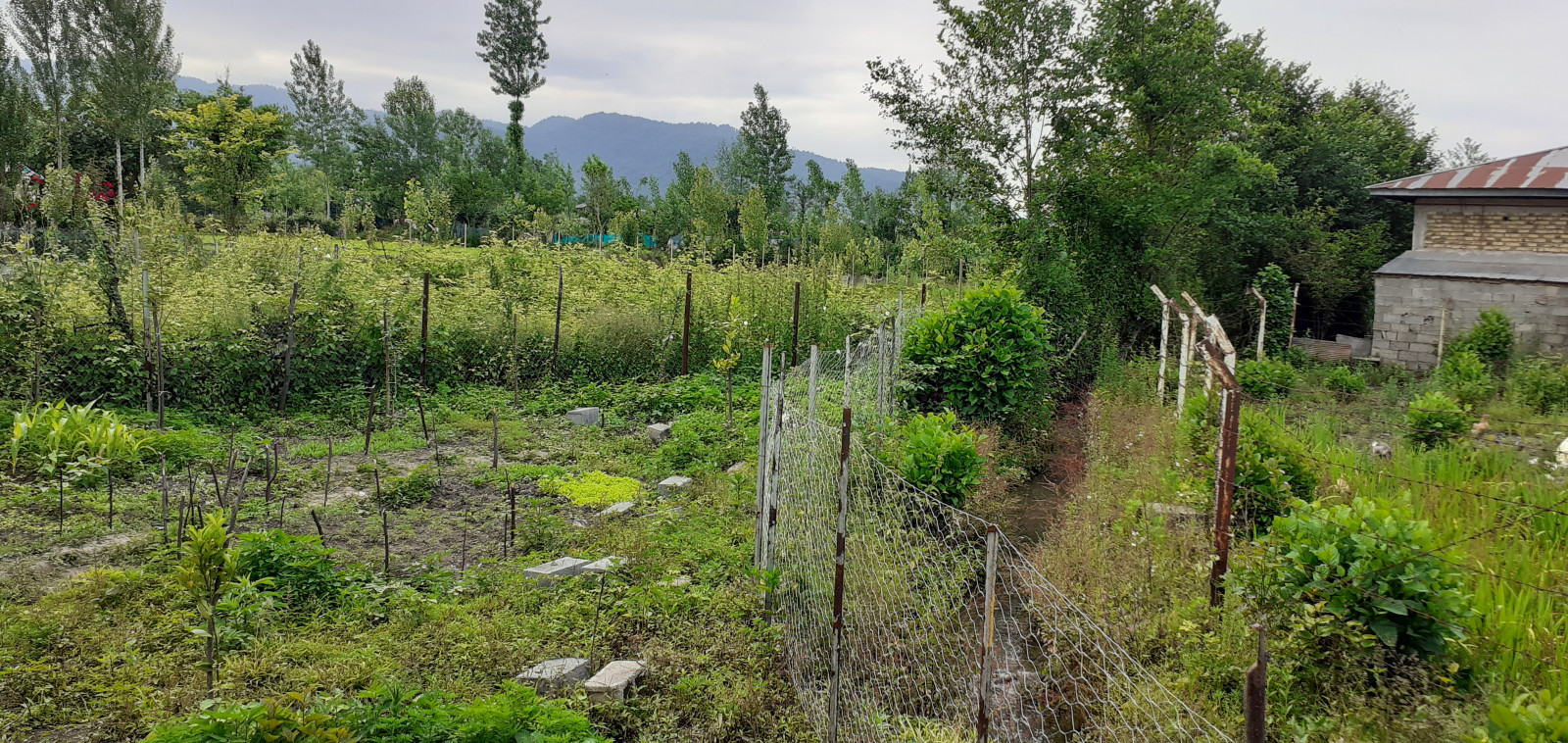 محیط اطراف اقامتگاه